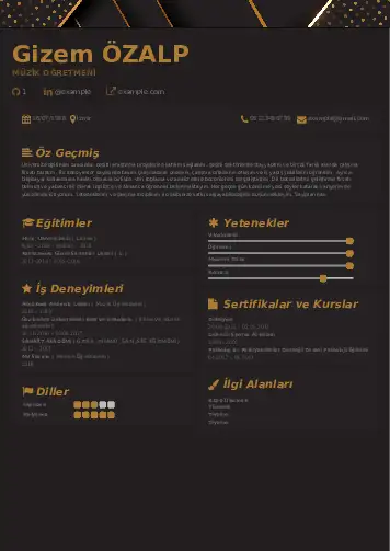 Müzik Öğretmeni Cv Örnekleri cv indir